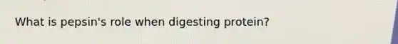 What is pepsin's role when digesting protein?