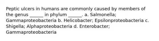 Peptic ulcers in humans are commonly caused by members of the genus ______ in phylum ______. a. Salmonella; Gammaproteobacteria b. Helicobacter; Epsilonproteobacteria c. Shigella; Alphaproteobacteria d. Enterobacter; Gammaproteobacteria