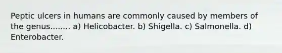 Peptic ulcers in humans are commonly caused by members of the genus........ a) Helicobacter. b) Shigella. c) Salmonella. d) Enterobacter.