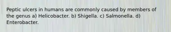 Peptic ulcers in humans are commonly caused by members of the genus a) Helicobacter. b) Shigella. c) Salmonella. d) Enterobacter.