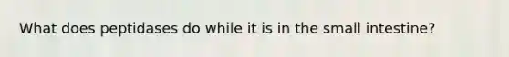 What does peptidases do while it is in the small intestine?