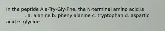 In the peptide Ala-Try-Gly-Phe, the N-terminal amino acid is ________. a. alanine b. phenylalanine c. tryptophan d. aspartic acid e. glycine