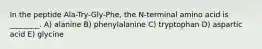 In the peptide Ala-Try-Gly-Phe, the N-terminal amino acid is ________. A) alanine B) phenylalanine C) tryptophan D) aspartic acid E) glycine