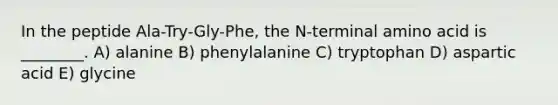 In the peptide Ala-Try-Gly-Phe, the N-terminal amino acid is ________. A) alanine B) phenylalanine C) tryptophan D) aspartic acid E) glycine