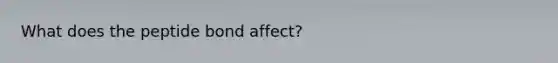 What does the peptide bond affect?