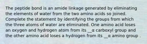 The peptide bond is an amide linkage generated by eliminating the elements of water from the two amino acids so joined. Complete the statement by identifying the groups from which the three atoms of water are eliminated. One amino acid loses an oxygen and hydrogen atom from its __α carboxyl group and the other amino acid loses a hydrogen from its __α amino group .