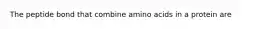 The peptide bond that combine amino acids in a protein are