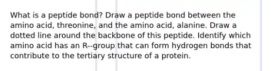 What is a peptide bond? Draw a peptide bond between the amino acid, threonine, and the amino acid, alanine. Draw a dotted line around the backbone of this peptide. Identify which amino acid has an R-‐group that can form hydrogen bonds that contribute to the tertiary structure of a protein.