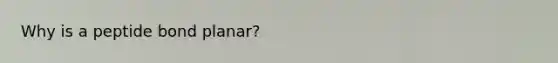 Why is a peptide bond planar?