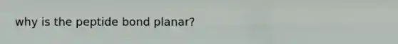 why is the peptide bond planar?