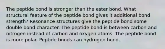 The peptide bond is stronger than the ester bond. What structural feature of the peptide bond gives it additional bond strength? Resonance structures give the peptide bond some double bond character. The peptide bond is between carbon and nitrogen instead of carbon and oxygen atoms. The peptide bond is more polar. Peptide bonds can hydrogen bond.