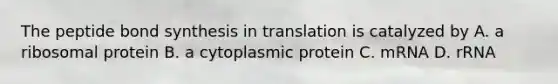 The peptide bond synthesis in translation is catalyzed by A. a ribosomal protein B. a cytoplasmic protein C. mRNA D. rRNA