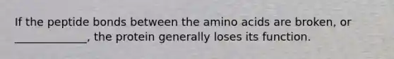 If the peptide bonds between the <a href='https://www.questionai.com/knowledge/k9gb720LCl-amino-acids' class='anchor-knowledge'>amino acids</a> are broken, or _____________, the protein generally loses its function.