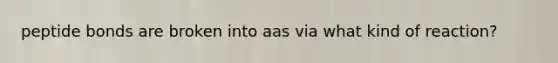 peptide bonds are broken into aas via what kind of reaction?