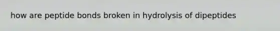 how are peptide bonds broken in hydrolysis of dipeptides