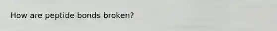 How are peptide bonds broken?