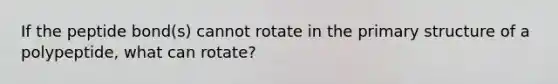 If the peptide bond(s) cannot rotate in the primary structure of a polypeptide, what can rotate?