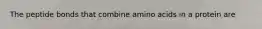 The peptide bonds that combine amino acids in a protein are