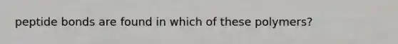 peptide bonds are found in which of these polymers?