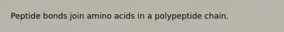 Peptide bonds join amino acids in a polypeptide chain.