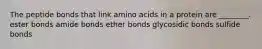 The peptide bonds that link amino acids in a protein are ________. ester bonds amide bonds ether bonds glycosidic bonds sulfide bonds