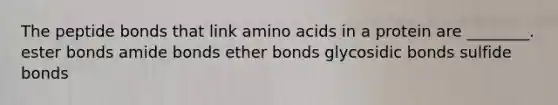 The peptide bonds that link amino acids in a protein are ________. ester bonds amide bonds ether bonds glycosidic bonds sulfide bonds