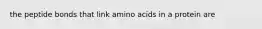 the peptide bonds that link amino acids in a protein are