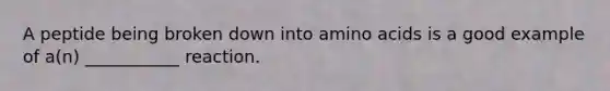 A peptide being broken down into amino acids is a good example of a(n) ___________ reaction.