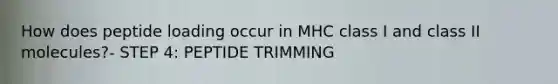 How does peptide loading occur in MHC class I and class II molecules?- STEP 4: PEPTIDE TRIMMING