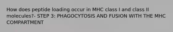 How does peptide loading occur in MHC class I and class II molecules?- STEP 3: PHAGOCYTOSIS AND FUSION WITH THE MHC COMPARTMENT