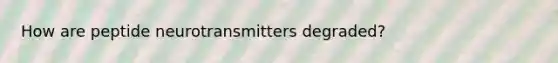 How are peptide neurotransmitters degraded?