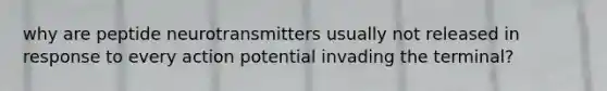 why are peptide neurotransmitters usually not released in response to every action potential invading the terminal?