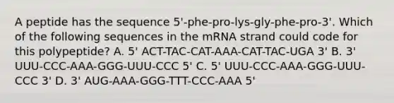 A peptide has the sequence 5'-phe-pro-lys-gly-phe-pro-3'. Which of the following sequences in the mRNA strand could code for this polypeptide? A. 5' ACT-TAC-CAT-AAA-CAT-TAC-UGA 3' B. 3' UUU-CCC-AAA-GGG-UUU-CCC 5' C. 5' UUU-CCC-AAA-GGG-UUU-CCC 3' D. 3' AUG-AAA-GGG-TTT-CCC-AAA 5'