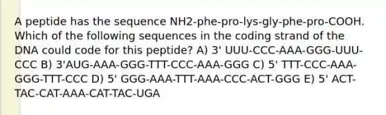 A peptide has the sequence NH2-phe-pro-lys-gly-phe-pro-COOH. Which of the following sequences in the coding strand of the DNA could code for this peptide? A) 3' UUU-CCC-AAA-GGG-UUU-CCC B) 3'AUG-AAA-GGG-TTT-CCC-AAA-GGG C) 5' TTT-CCC-AAA-GGG-TTT-CCC D) 5' GGG-AAA-TTT-AAA-CCC-ACT-GGG E) 5' ACT-TAC-CAT-AAA-CAT-TAC-UGA