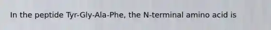 In the peptide Tyr-Gly-Ala-Phe, the N-terminal amino acid is