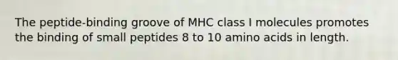 The peptide-binding groove of MHC class I molecules promotes the binding of small peptides 8 to 10 amino acids in length.