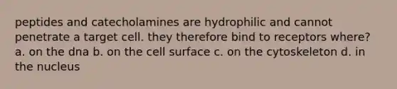 peptides and catecholamines are hydrophilic and cannot penetrate a target cell. they therefore bind to receptors where? a. on the dna b. on the cell surface c. on the cytoskeleton d. in the nucleus