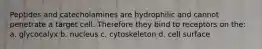 Peptides and catecholamines are hydrophilic and cannot penetrate a target cell. Therefore they bind to receptors on the: a. glycocalyx b. nucleus c. cytoskeleton d. cell surface