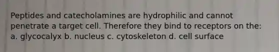 Peptides and catecholamines are hydrophilic and cannot penetrate a target cell. Therefore they bind to receptors on the: a. glycocalyx b. nucleus c. cytoskeleton d. cell surface