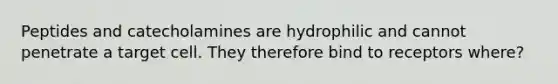 Peptides and catecholamines are hydrophilic and cannot penetrate a target cell. They therefore bind to receptors where?