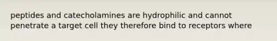 peptides and catecholamines are hydrophilic and cannot penetrate a target cell they therefore bind to receptors where