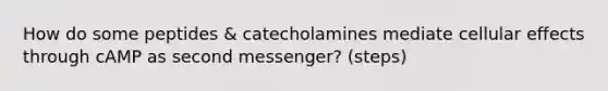 How do some peptides & catecholamines mediate cellular effects through cAMP as second messenger? (steps)