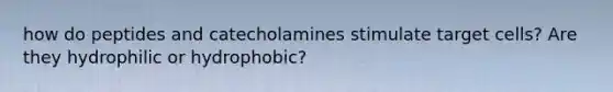 how do peptides and catecholamines stimulate target cells? Are they hydrophilic or hydrophobic?