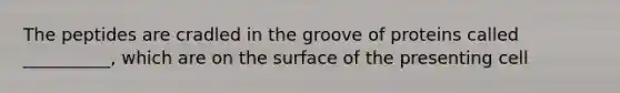 The peptides are cradled in the groove of proteins called __________, which are on the surface of the presenting cell