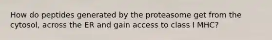 How do peptides generated by the proteasome get from the cytosol, across the ER and gain access to class I MHC?