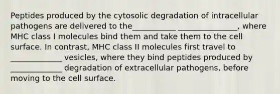 Peptides produced by the cytosolic degradation of intracellular pathogens are delivered to the___________ _______________, where MHC class I molecules bind them and take them to the cell surface. In contrast, MHC class II molecules first travel to _____________ vesicles, where they bind peptides produced by _____________ degradation of extracellular pathogens, before moving to the cell surface.