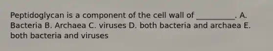 Peptidoglycan is a component of the cell wall of __________. A. Bacteria B. Archaea C. viruses D. both bacteria and archaea E. both bacteria and viruses