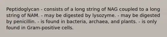 Peptidoglycan - consists of a long string of NAG coupled to a long string of NAM. - may be digested by lysozyme. - may be digested by penicillin. - is found in bacteria, archaea, and plants. - is only found in Gram-positive cells.