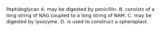 Peptidoglycan A. may be digested by penicillin. B. consists of a long string of NAG coupled to a long string of NAM. C. may be digested by lysozyme. D. is used to construct a spheroplast.