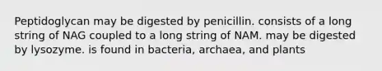 Peptidoglycan may be digested by penicillin. consists of a long string of NAG coupled to a long string of NAM. may be digested by lysozyme. is found in bacteria, archaea, and plants